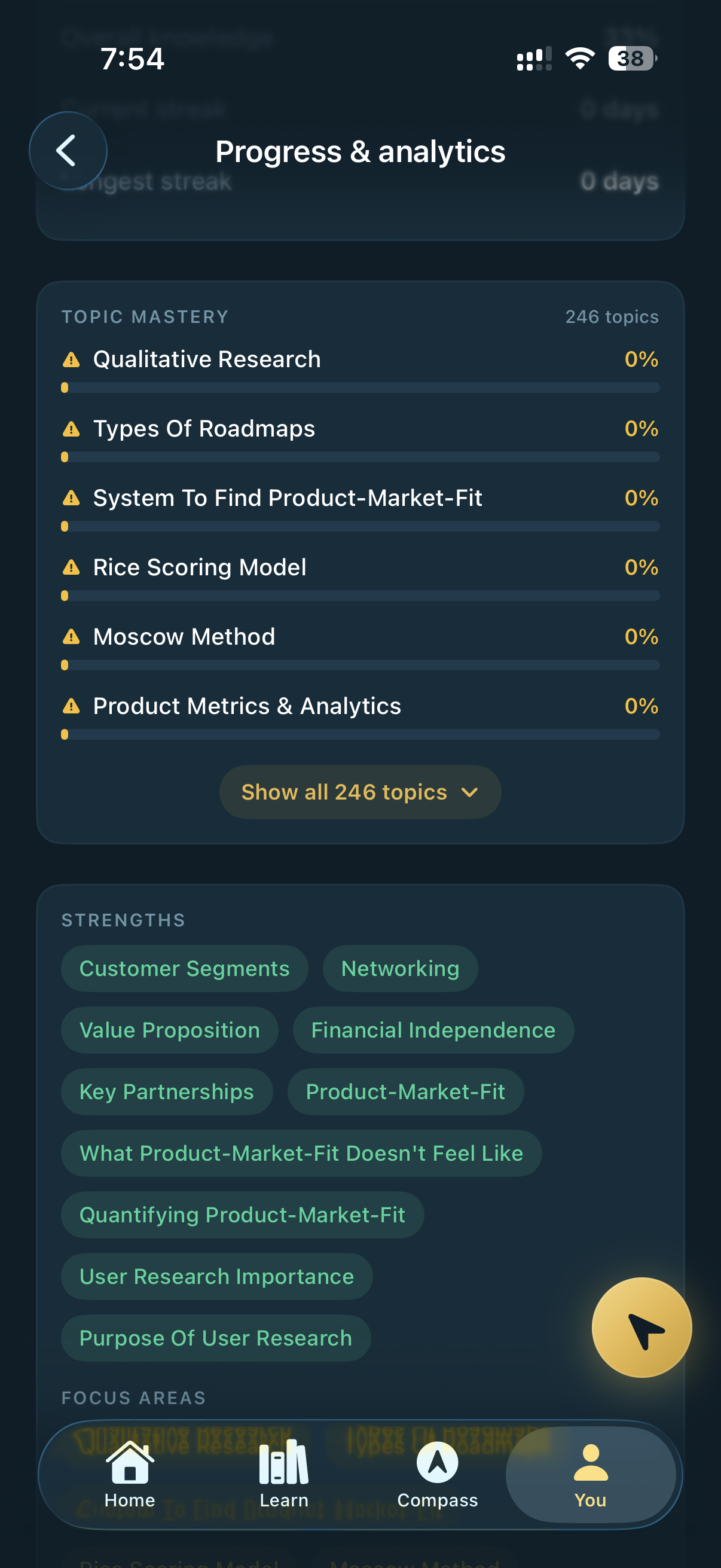 Knowledge Profile — 246 topics tracked per learner with per-topic mastery and auto-detected strength chips